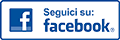 Seguici su Facebook